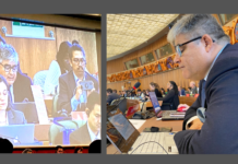 DIRECTOR DE INNOVARTE EXPONE ANTE COMITÉ DE DERECHOS DE AUTOR DE LA OMPI