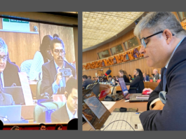 DIRECTOR DE INNOVARTE EXPONE ANTE COMITÉ DE DERECHOS DE AUTOR DE LA OMPI