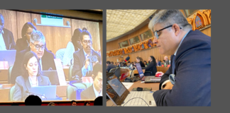 DIRECTOR DE INNOVARTE EXPONE ANTE COMITÉ DE DERECHOS DE AUTOR DE LA OMPI