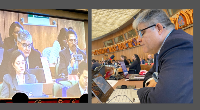 DIRECTOR DE INNOVARTE EXPONE ANTE COMITÉ DE DERECHOS DE AUTOR DE LA OMPI