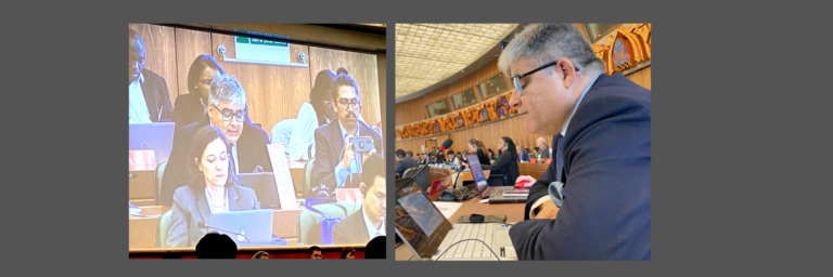 NGO INNOVARTE’S DIRECTOR SPEAKS BEFORE WIPO’S COPYRIGHT COMMITTEE