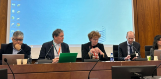 DIRECTOR DE INNOVARTE ONG EXPONE EN PANEL SOBRE LEYES MODELO DE PROPIEDAD INTELECTUAL EN LA OMPI