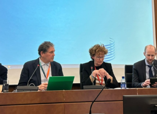 DIRECTOR DE INNOVARTE ONG EXPONE EN PANEL SOBRE LEYES MODELO DE PROPIEDAD INTELECTUAL EN LA OMPI