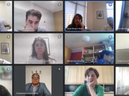 INNOVARTE ONG se reúne con Ministra de Ciencia Aisén Etcheverry y el Consejo de la Sociedad Civil CTCI