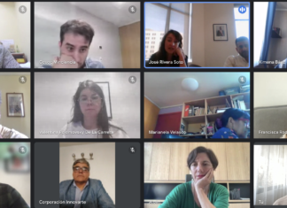 INNOVARTE ONG se reúne con Ministra de Ciencia Aisén Etcheverry y el Consejo de la Sociedad Civil CTCI