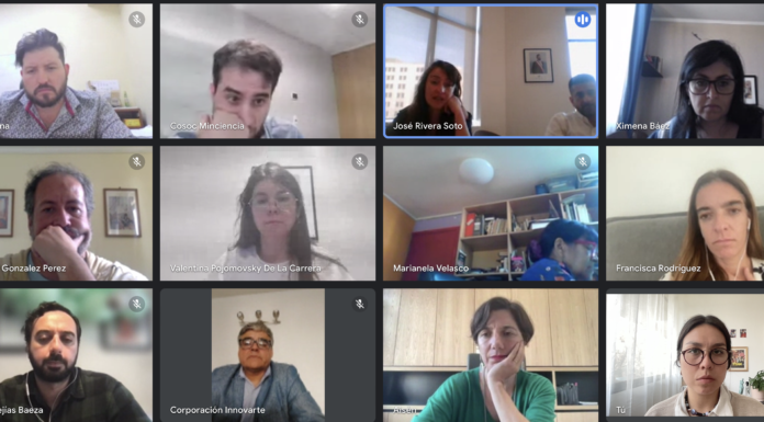 NGO INNOVARTE meets with Minister Aisén Etcheverry and Civil Society Council CTCI