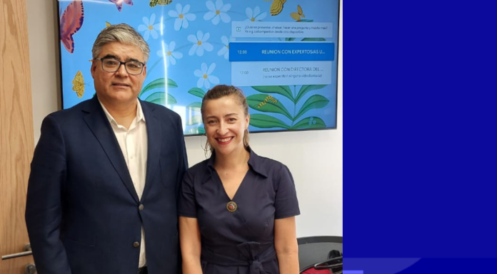 Innovarte participa en mesa de discusión sobre desafíos de la Inteligencia Artificial en el Ministerio de Ciencia