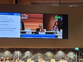 NGO Innovarte attends in 76th World Health Assembly