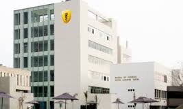 Innovarte collaborates in Conversatory of the Universidad Peruana Cayetano Heredia on Pandemic Treaty