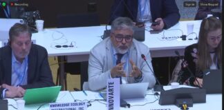 Innovarte interviene en otra sesión de negociación de la OMS por el Tratado de Pandemias y pide mayor transparencia y participación de la sociedad civil