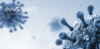 INTERVENCIÓN DE INNOVARTE EN LA 9ª SESIÓN DEL ÓRGANO INTERGUBERNAMENTAL DE NEGOCIACIÓN