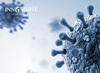 INTERVENCIÓN DE INNOVARTE EN LA 9ª SESIÓN DEL ÓRGANO INTERGUBERNAMENTAL DE NEGOCIACIÓN