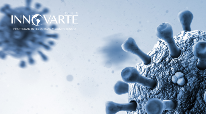INTERVENCIÓN DE INNOVARTE EN LA 9ª SESIÓN DEL ÓRGANO INTERGUBERNAMENTAL DE NEGOCIACIÓN