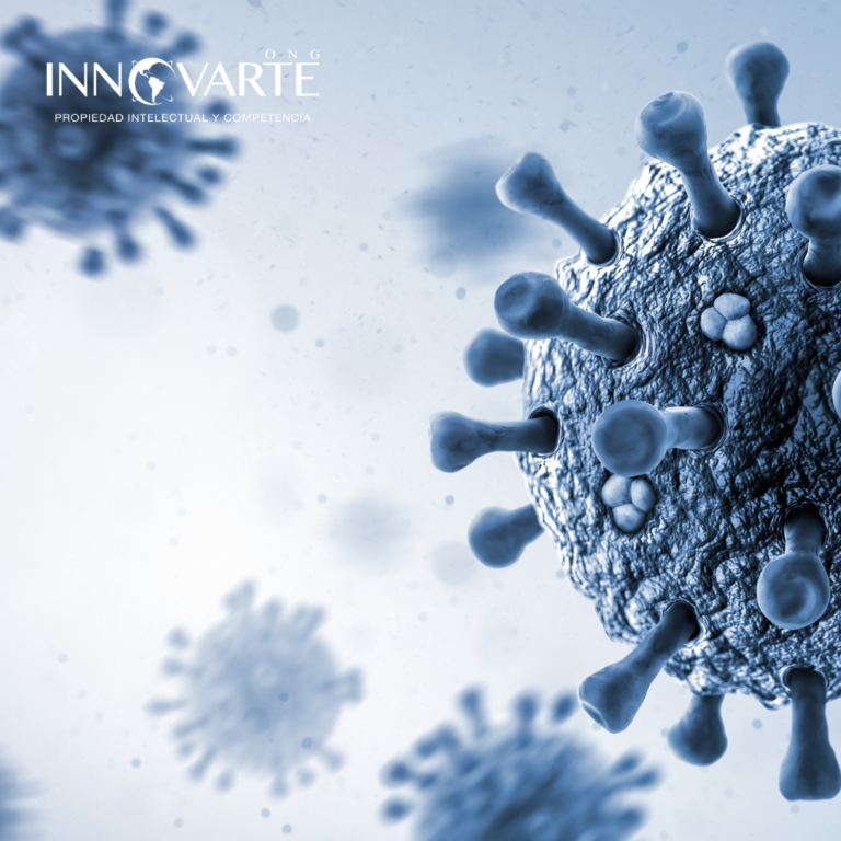 INTERVENCIÓN DE INNOVARTE EN LA 9ª SESIÓN DEL ÓRGANO INTERGUBERNAMENTAL DE NEGOCIACIÓN