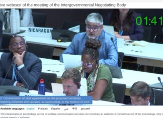 Intervention by Innovarte at the Tenth meeting of the INB (Intergovernmental Negotiating Body for a Pandemic Treaty)