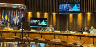 XIII Conferencia REDLAS: Propiedad Intelectual en el sector de servicios