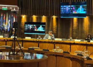 XIII Conferencia REDLAS: Propiedad Intelectual en el sector de servicios