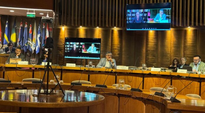 XIII Conferencia REDLAS: Propiedad Intelectual en el sector de servicios