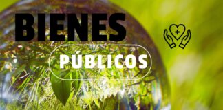 Columna de Opinión: Bienes Públicos, una visión para la cooperación global