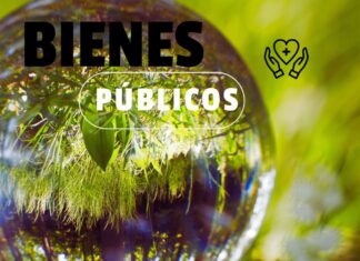 Columna de Opinión: Bienes Públicos, una visión para la cooperación global