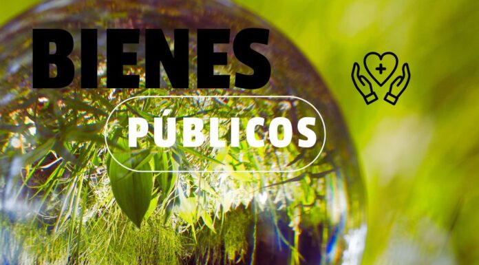 Columna de Opinión: Bienes Públicos, una visión para la cooperación global