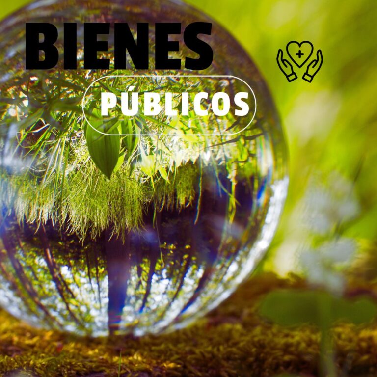 Columna de Opinión: Bienes Públicos, una visión para la cooperación global