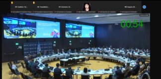 Intervención de Innovarte en INB 13 de la OMS