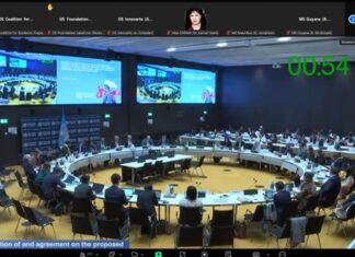 Intervención de Innovarte en INB 13 de la OMS