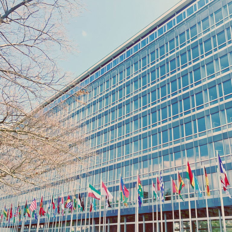 Histórico: Los países de la OMS aprueban por unanimidad un tratado de pandemias