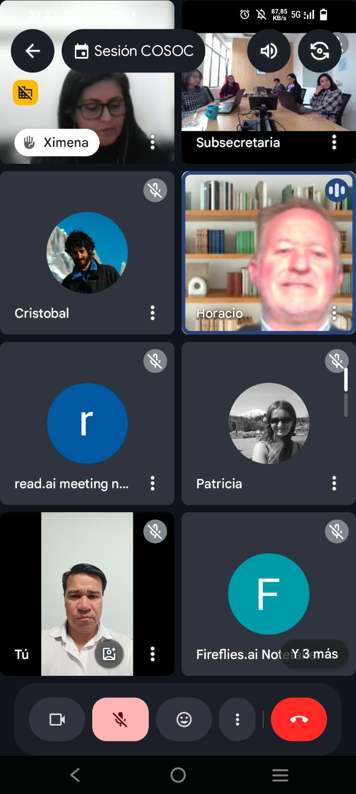 Innovarte participó en reunión del Consejo de la Sociedad Civil del Ministerio de Ciencia