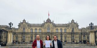 Licencia obligatoria para el tratamiento de la fibrosis quística: un paso urgente hacia el acceso universal. Licencia obligatoria para el tratamiento de la fibrosis quística: un paso urgente hacia el acceso universal.