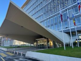 IGWG 4: ¿Algún avance que podamos reportar? IGWG 4: ¿Algún avance que podamos reportar?