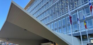 IGWG 4: ¿Algún avance que podamos reportar? IGWG 4: ¿Algún avance que podamos reportar?