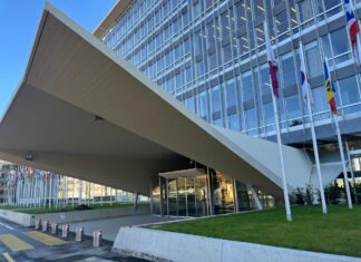 IGWG 4: ¿Algún avance que podamos reportar? IGWG 4: ¿Algún avance que podamos reportar?