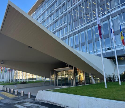 IGWG 4: ¿Algún avance que podamos reportar? IGWG 4: ¿Algún avance que podamos reportar?