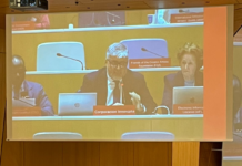 Innovarte ONG participa del Comité Permanente de Derechos de Autor de la Organización Mundial de la Propiedad Intelectual (SCCR/47) Innovarte ONG participa del Comité Permanente de Derechos de Autor de la Organización Mundial de la Propiedad Intelectual (SCCR/47)