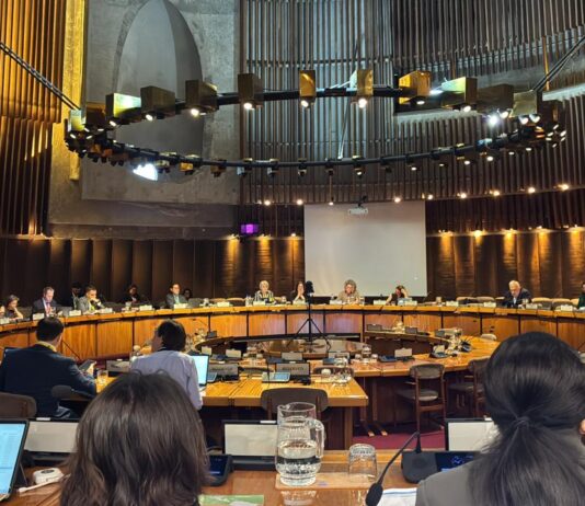 Participación de Innovarte ONG en la 25ª Reunión Plenaria de la Iniciativa de la OCDE sobre Cadenas Globales de Valor, Transformación Productiva y Desarrollo Participación de Innovarte ONG en la 25ª Reunión Plenaria de la Iniciativa de la OCDE sobre Cadenas Globales de Valor, Transformación Productiva y Desarrollo