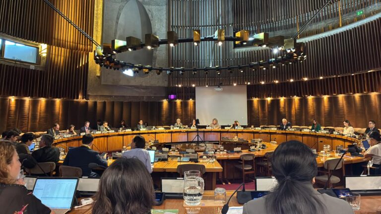 Participación de Innovarte ONG en la 25ª Reunión Plenaria de la Iniciativa de la OCDE sobre Cadenas Globales de Valor, Transformación Productiva y Desarrollo